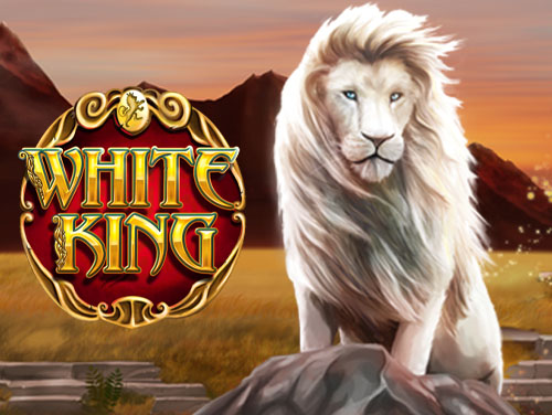 ph366 casino login